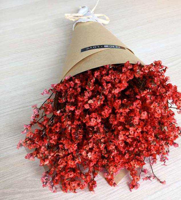 Rose Modern Full Star Bouquet Natural Pale Purple Full Star Dried Flower Small Bouquet Red Home Flower Shop