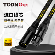 Canon Audio Line Gong to Mother Power Amplifier Speaker Xlr Balance Line Microphone Mic Tuning Desk
