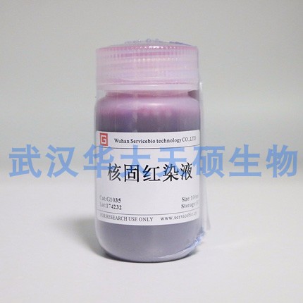 Servicebio 核固红染色液 病理切片细胞核的染色 G1035 染核试剂