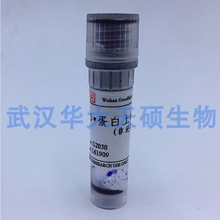 Servicebio 5X 蛋白上样缓冲液（非还原型）G2030 1ml 可开票包邮