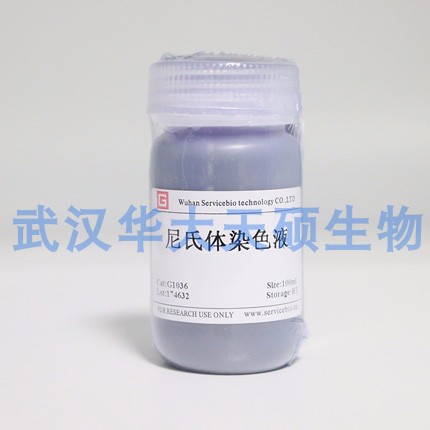 尼氏染液 尼氏染色液 Servicebio G1036 细胞是否受损伤的的标志