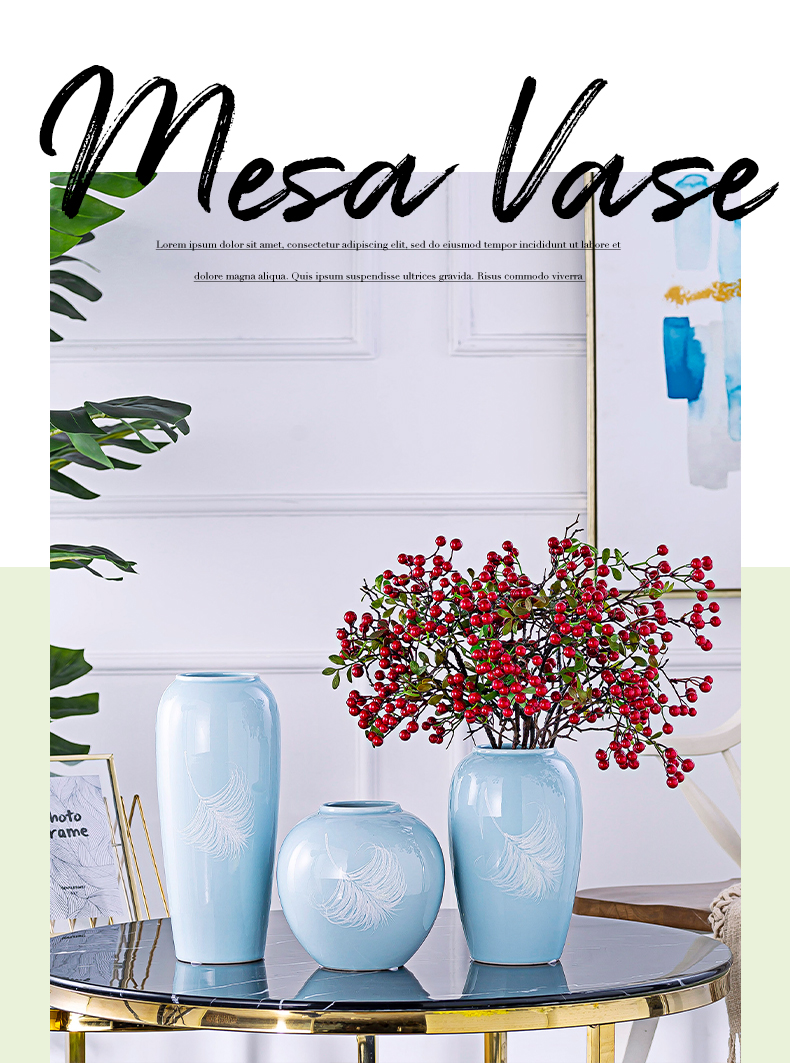 I and contracted creative ceramic mesa hydroponic floral decorations furnishing articles flower vase simulation TV ark, decoration