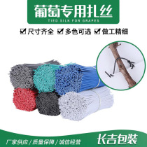 10000 galvanized plastic-coated iron cores 0 55 0 7 0 9 branches kiwi fruit tie garden grape tie