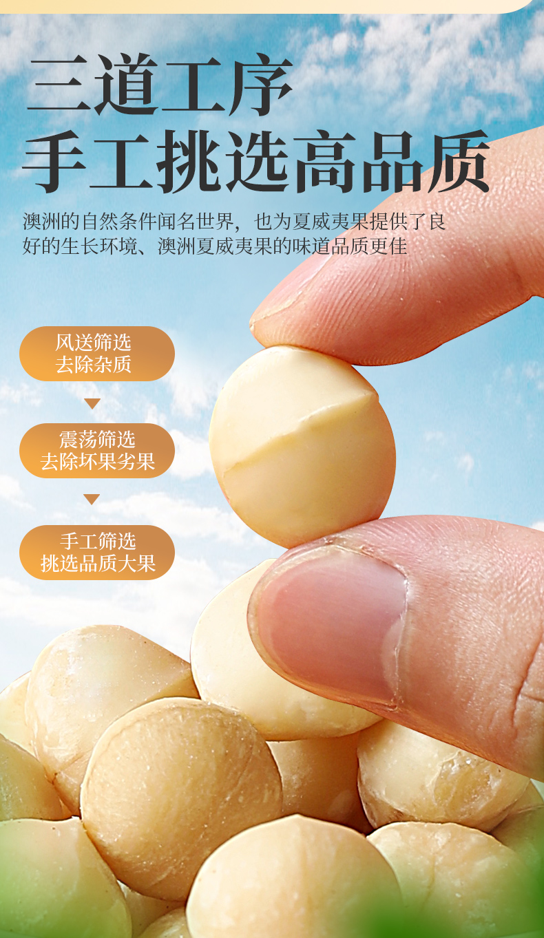 外果侠 原味烘焙 夏威夷果仁 500g/罐 图3