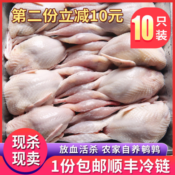 农倍鲜 新鲜现杀母鹌鹑 10只约1200g 天猫优惠券折后￥33.8顺丰包邮（￥36.8-3）