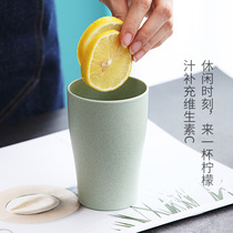 Wheat straw Cup cute girl home Net red water cup creative trend plastic hand cup simple Nordic ins