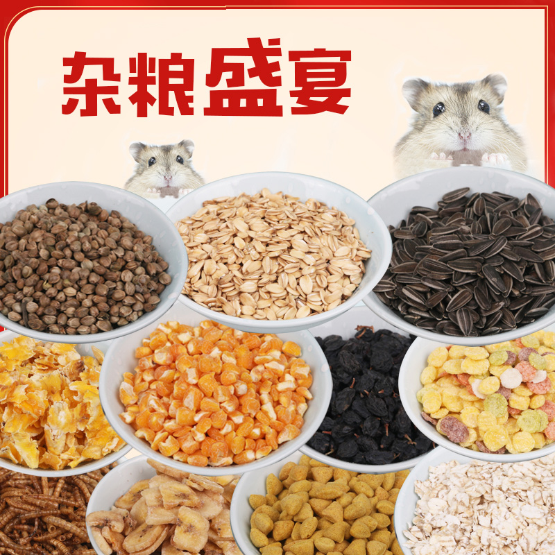 Hamster food molars hamster grains snacks ChinChin squirrel Dutch pig set meal