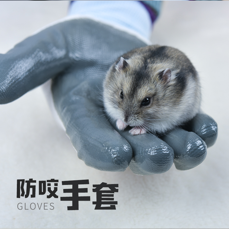 Small pet Supplies hamster Bite Prevention Gloves Rabbit Dragon Cat Guinea Pig Dutch pig Anti-bite glove 1 Double