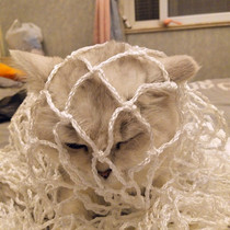 Seal Window Nets Anti-Cat Nets Pets Anti-Escape Nets Safety Isolation Nets Nylon Rope Mesh Fence Protective Netting Balcony Anti-Fall Net