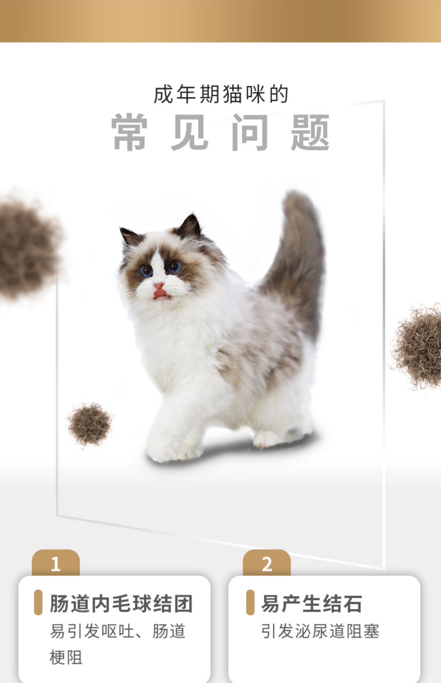 Petmaster Pegasus cá biển sâu hương vị gà Mỹ trưởng thành để thức ăn cho mèo bóng 2.36kg kết hợp - Cat Staples thức ăn tốt cho mèo
