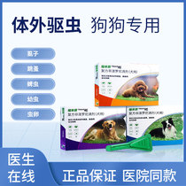 Forcome Pooch In Vitro Insect Repellent Drug Drops 3 Whole Boxes Flea Mites Ticks Ticks Ticks 10kg Inner Dogs Universal