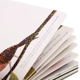 История выживания мудрости Xiaopen от одного дюйма насекомых дюймов за дюймом детская книжка -картин