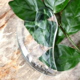 Кристаллическая тарелка, соскребающая женское прозрачное лицо красоты Тонкое лицо, меридианское лицо для детоксикации всего тела универсальное масштаб артефакт