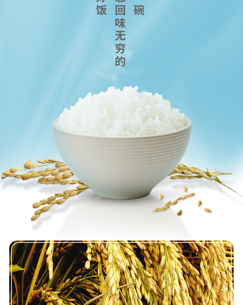 袁隆平 辽河基地大米 东北蟹田米 10斤 图5