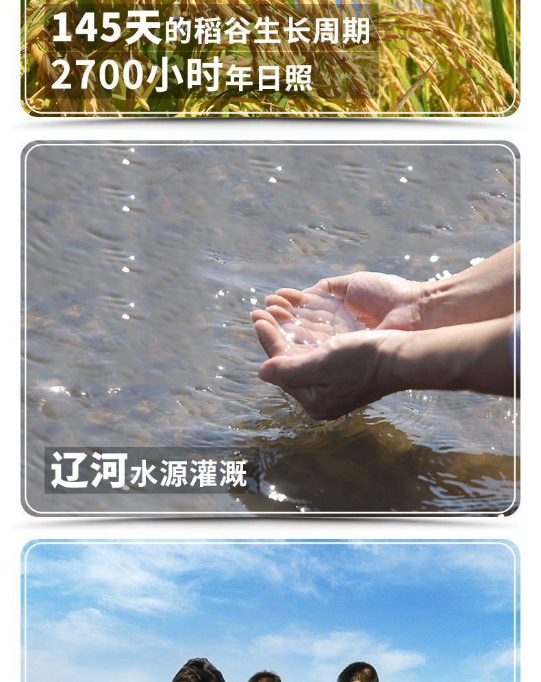 袁隆平 辽河基地大米 东北蟹田米 10斤 图3