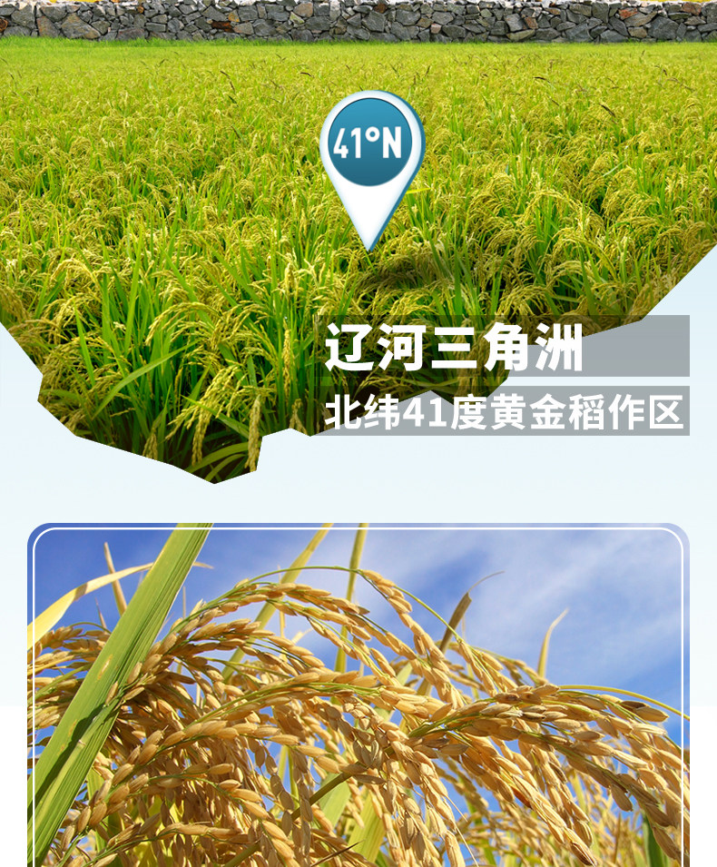 袁隆平 辽河基地大米 东北蟹田米 10斤 图2