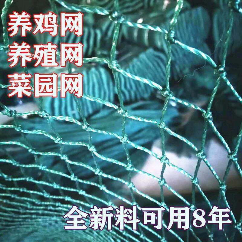 2021 new 100 m Poultry raising chickens nets Chicken Nets Breeding Nets Vegetable Garden Nets Walled Hens Nets Anti-Chicken Nets Fencing