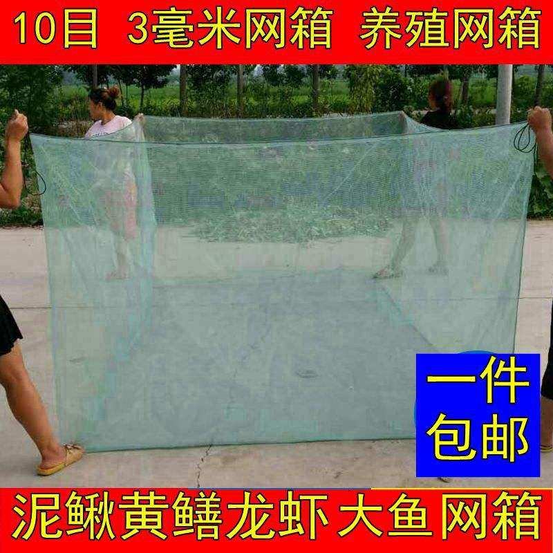 2021 new box nets fish breeding nets mud loach yellow eel lobster crab seedlings special aquacultural existents big