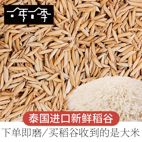 一年一季 泰国进口 香米 大米 5斤装 天猫优惠券折后￥19.9包邮（￥29.9-10）