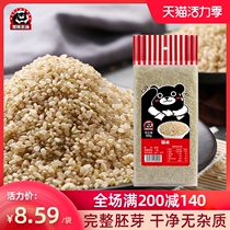 Black Bear Farm Northeast brown rice New rice New season New mill Fitness brown rice Whole grain whole grain meal replacement 400g