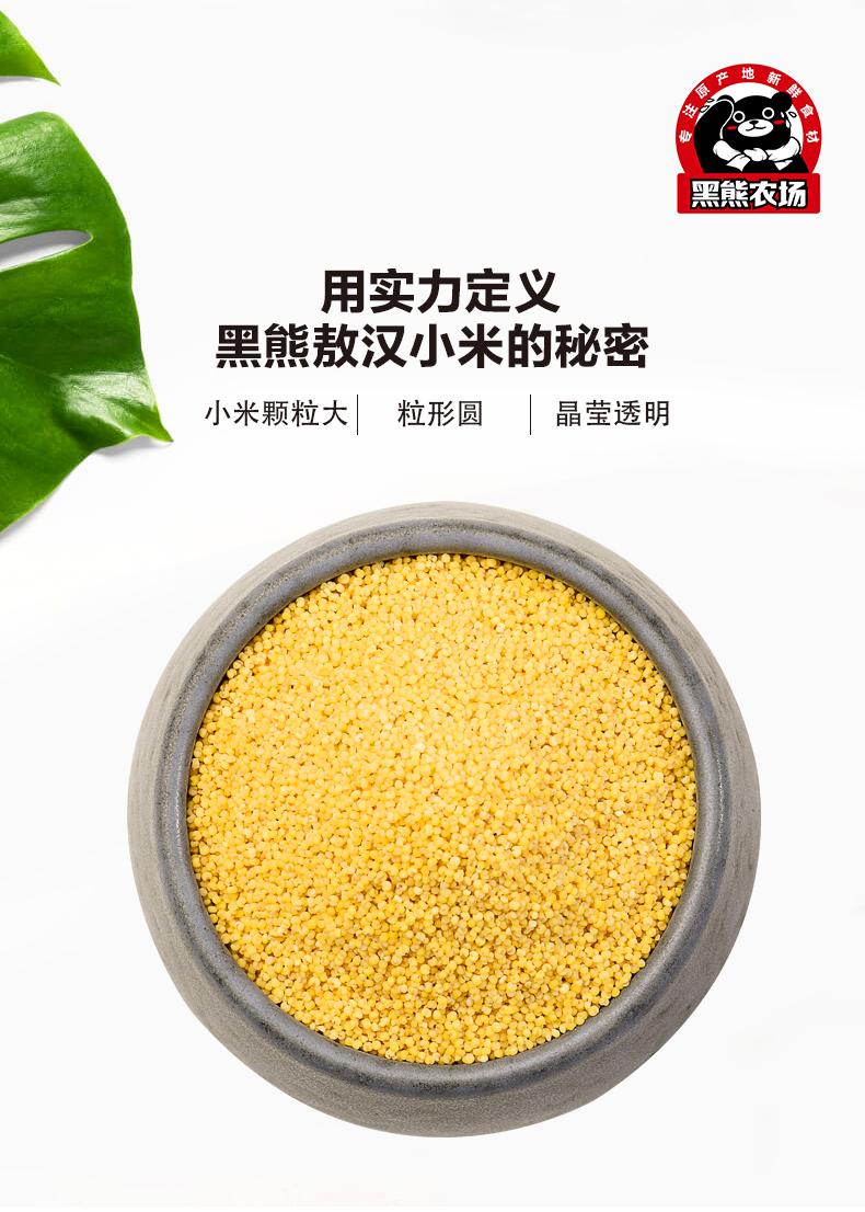 黑熊农场！敖汉黄小米400g×3包