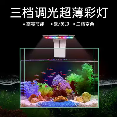 Cross-border 110V European and American regulations LED fish tank landscaping lantern aquarium lighting watergrass tank lighting waterproof turtle cylinder clip lamp