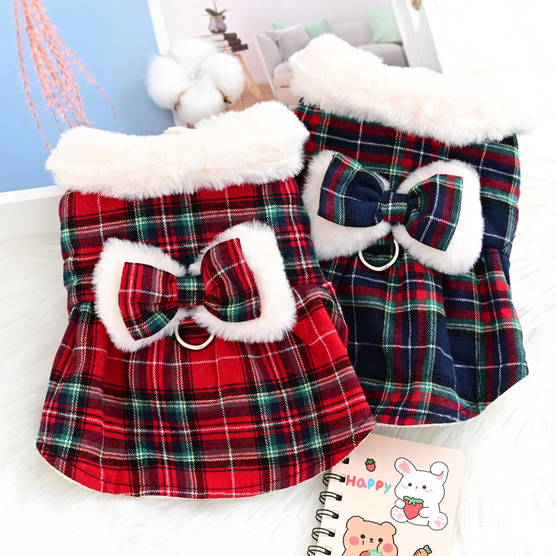 🐾 ️ New favorite for keeping warm! teddy bichon pomeranian fall and ...