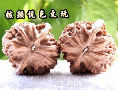 Nuclear Yan Yue Color Direct Podcast Hyper connection bullish on the next Single Man Play in walnut Four Buildings Frog Autumn Monkey heads