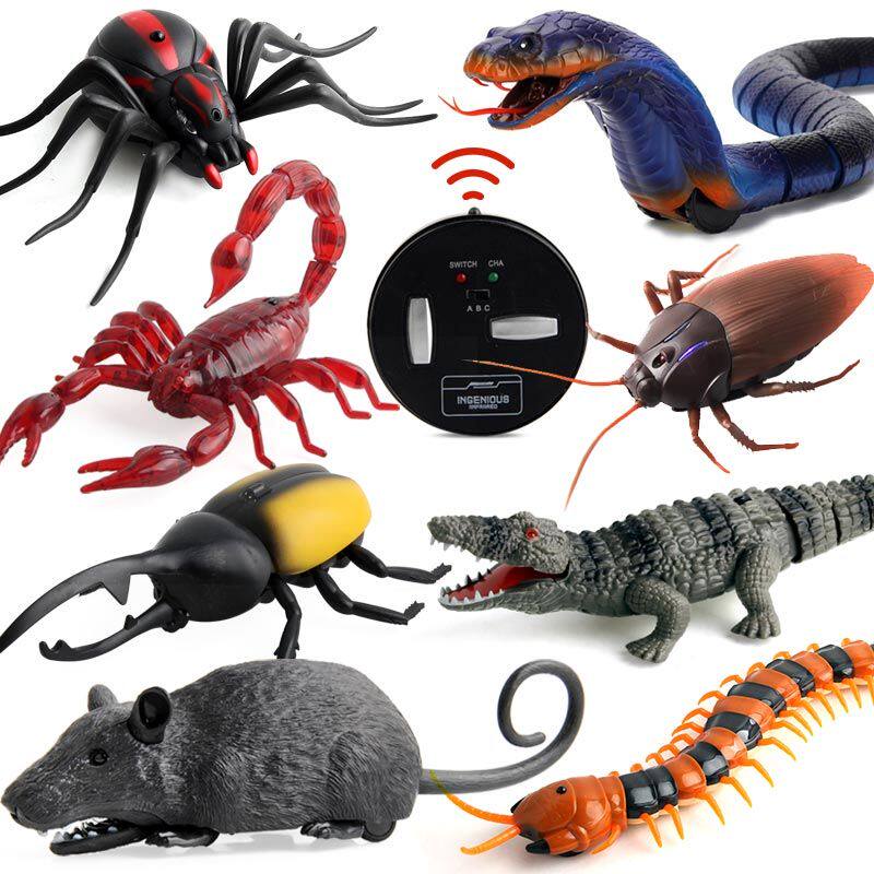 Whole People Toy Remote Control Spider Boy Electric Toys Scary Simulation Cockroach Ants Insect animal centipedes