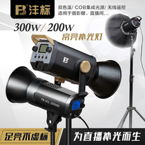 Fengbiao 300W photography light 200W live broadcast soft light ball LED fill light camera video studio always bright sun light