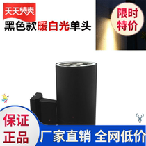 Outdoor wall lamp waterproof new Villa living room led super bright exterior wall aisle Nordic balcony lighting stairs