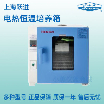 上海跃进鼓风干燥箱GZX-GF101-4/5-BS-ⅡHGZF-II-101-0/1/2/3/4/5