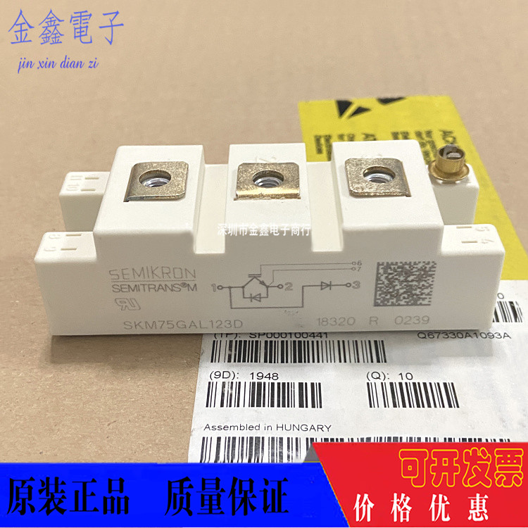 SKM75GAL12T4 SKM100GAL12T4 SKM50GAL12T4 SKM100GAL123D 128D