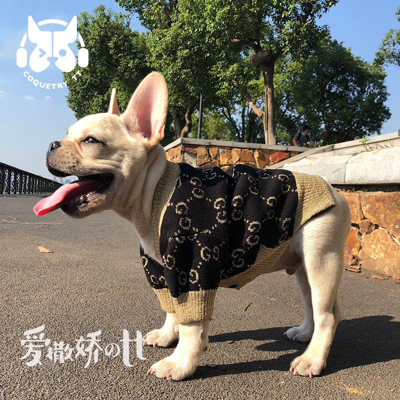 TT tide brand G letter pet dog clothes Teddy French bucket spring and autumn knitwear small and medium-sized dog warm sweater cardigan