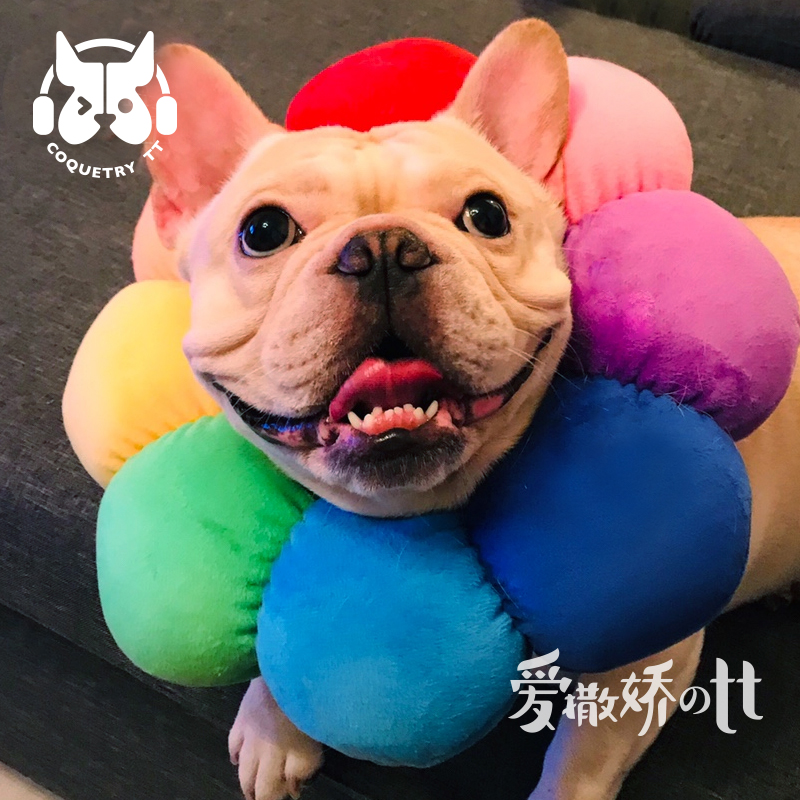 TT Cat Dog Neuter Elizabeth Circle soft cloth headgear collar Pets to blame for shooting big neck ring Anti-licking stigma