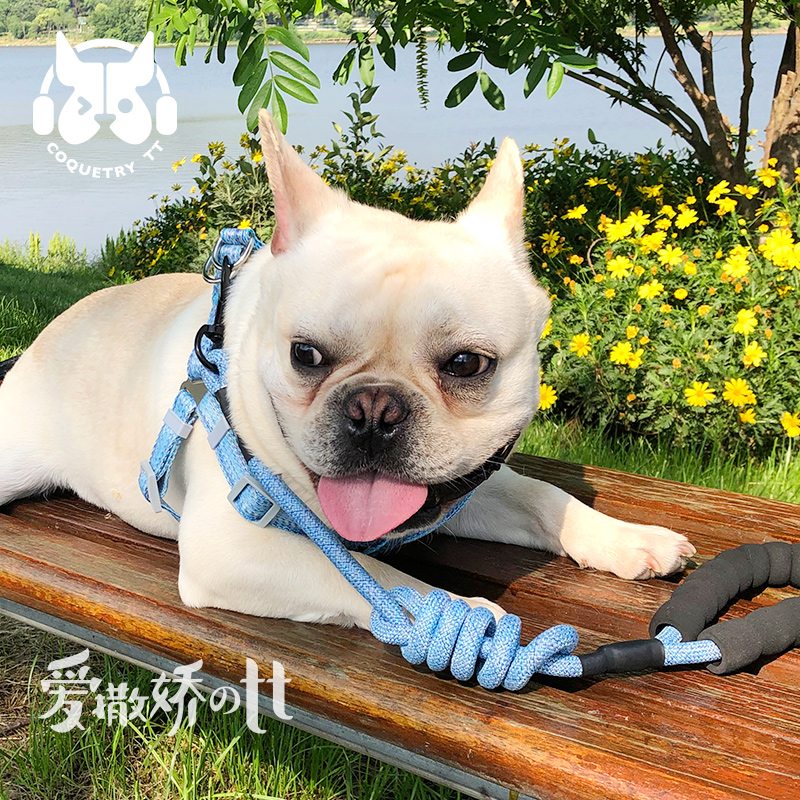 TT chest strap tow rope climbing round rope set pet dog leash dog chain method fighting dog chain vest type dog supplies