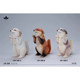 Jxk Papa Fox Jxk308 1/6 Animal Trendy Static Model Figure B Version