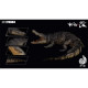 Benxin Nan Gai Lingji Yi Dong Series Bay Crocodile Movable Figure