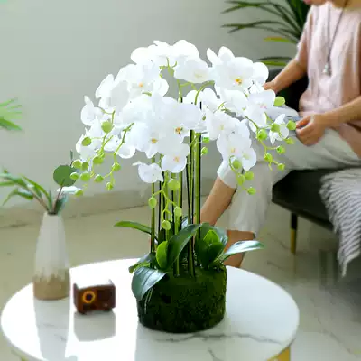 Modern simple style white Phalaenopsis artificial flower feel moisturizing fake flower decoration decoration living room high-grade bonsai