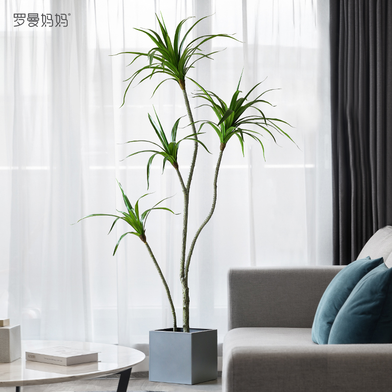 Roman mom large simulation millennial wood potted room living-room living-room window-building with green-planted horsetail iron decorative hem