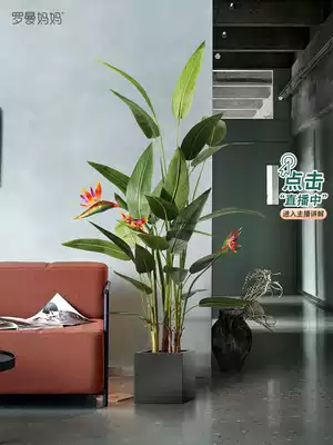 Roman mother simulation plant potted birds of paradise indoor large green plant Nordic ins Wind auspicious bird fake bonsai