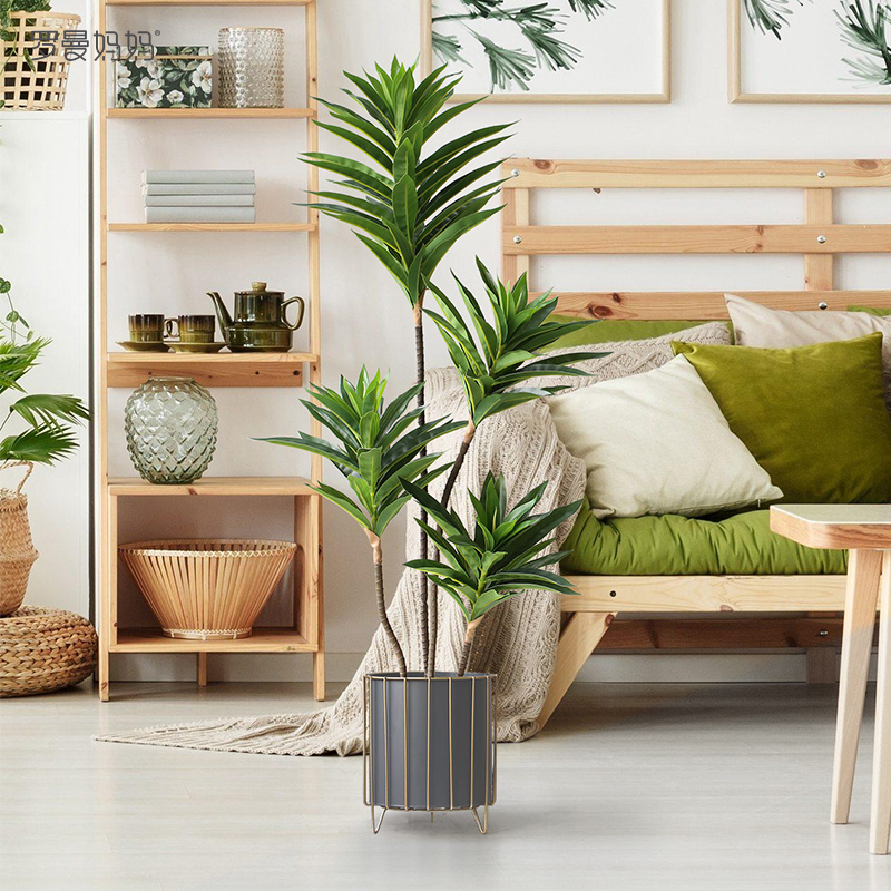 Roman mother simulation plant lily bamboo wabi sabi wind green plant indoor living room floor-to-ceiling potted plant window decoration