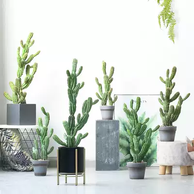 Roman mother simulation plant decoration simulation cactus fake cactus column potted plant ornaments