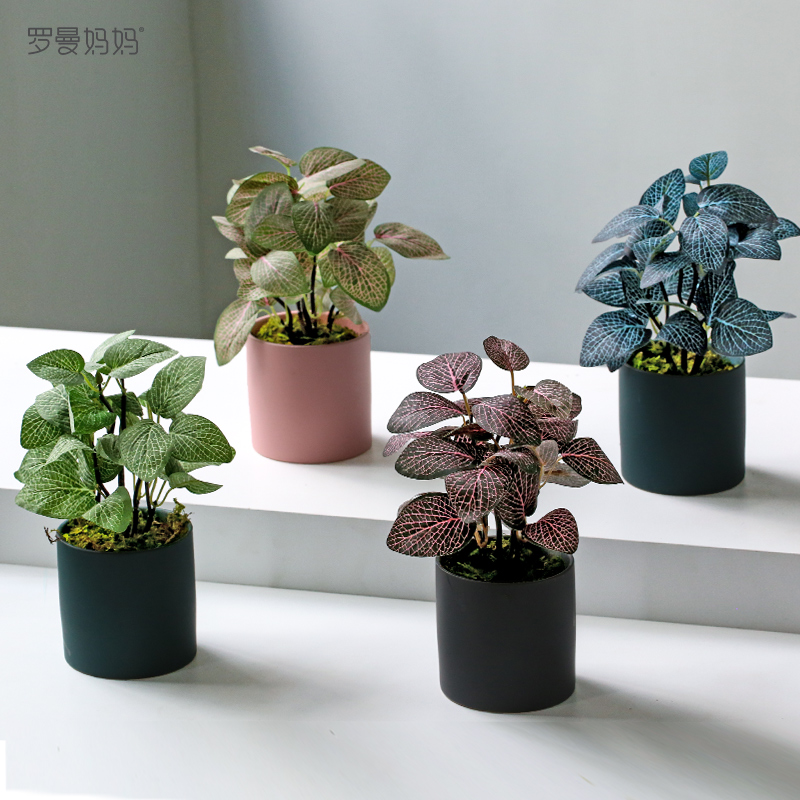 Roman Mama Nordic Light Luxury Simulation Green Plant Small Potted Indoor Living Room Desktop Mini Office Ornament Decoration