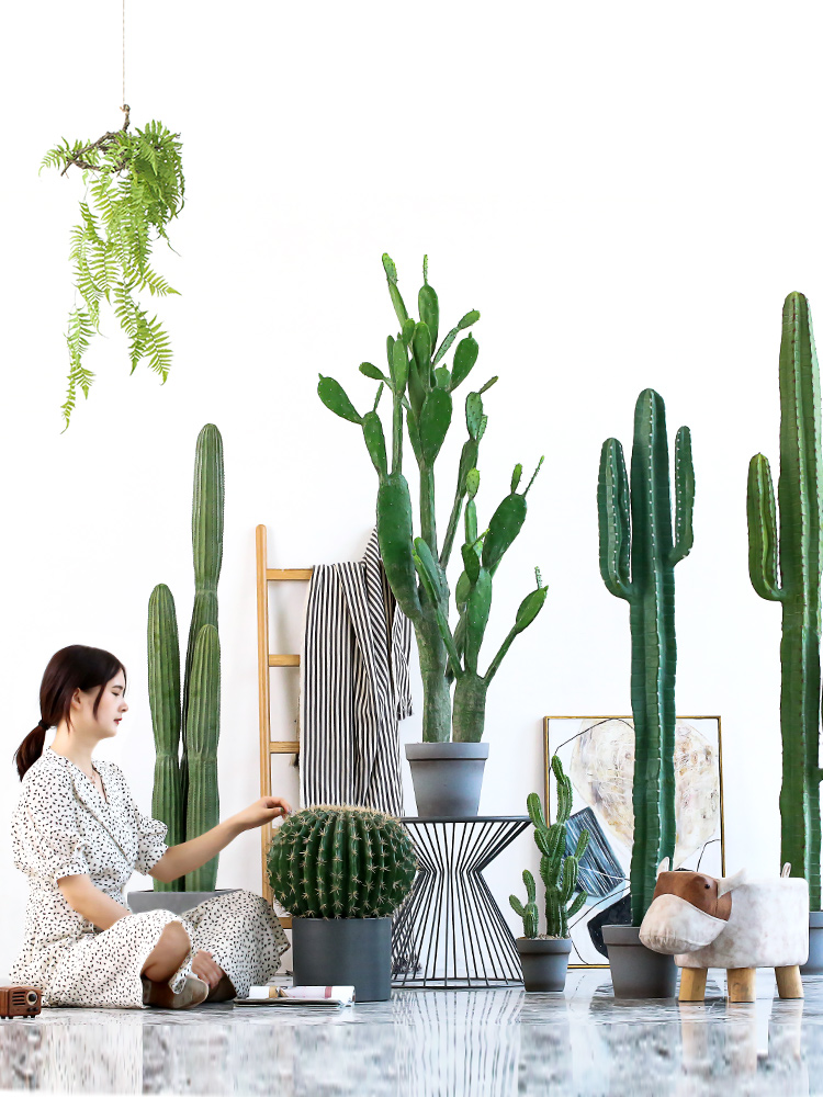 Nordic Emulation Green Plant Potted Cactus Big Bonsai Fairy Columns Indoor Home Soft Decoration Shop Window Hem