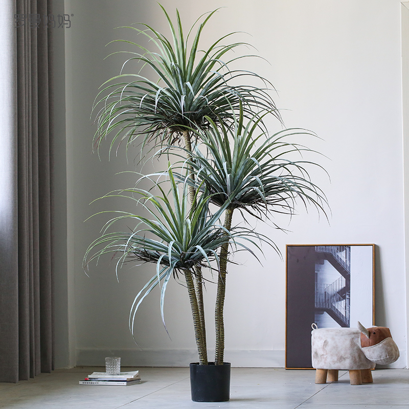 Roman Mother Nordic Emulation Green Plant Dragon Blood Tree Potted Tequila Living Room Large Plant Floor Pendulum decoration
