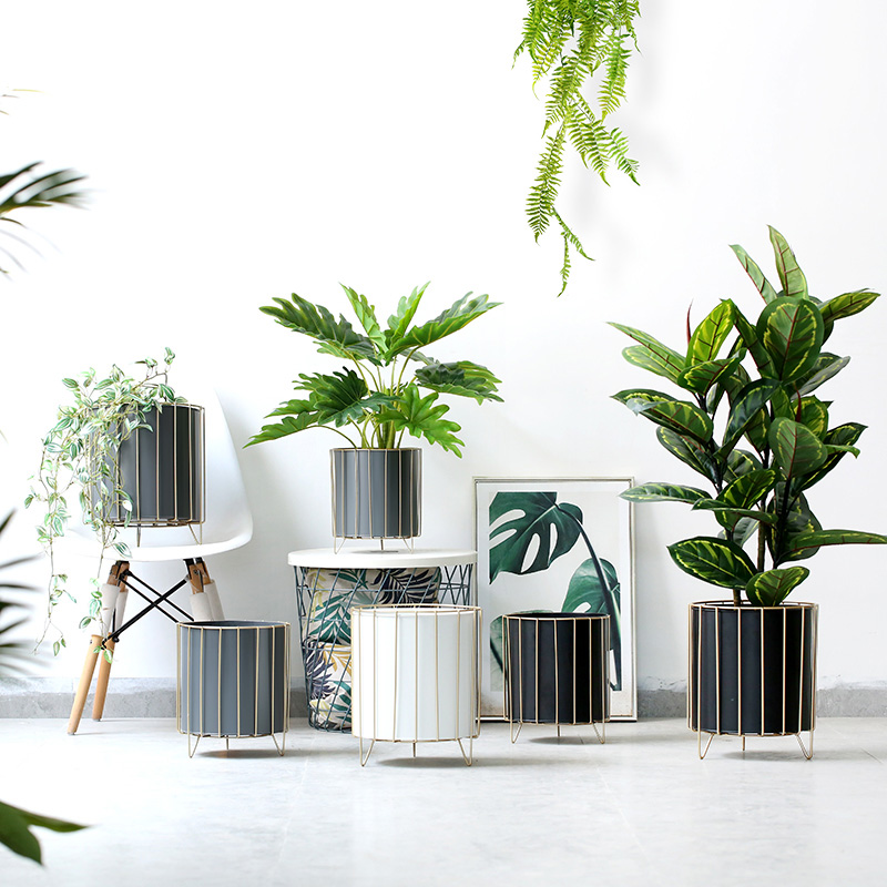 Roman mother Delicate light luxury large plant wrought iron flower pot gold edge baking paint floor large flower pot black milky white