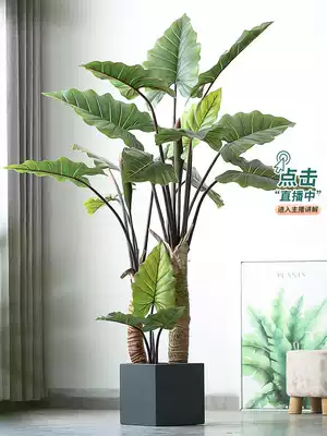 Modern minimalist style simulation green plant potted rainbow taro net red green plant home floor decoration