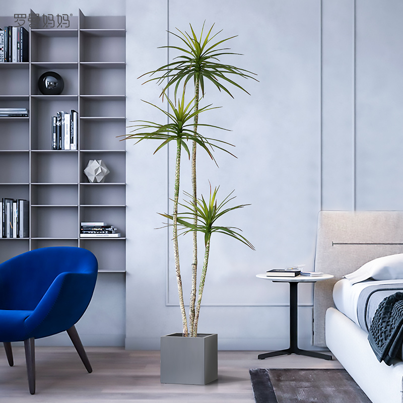 Roman mom emulated plant narrow-leaf tequila potted dragon blood tree Canopy Silent Wind Green-planted Bonsai Living Room Decoration