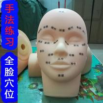 Eyelash head modeling embroidery Massage head model dummy head Face mini learning face shape tool large table